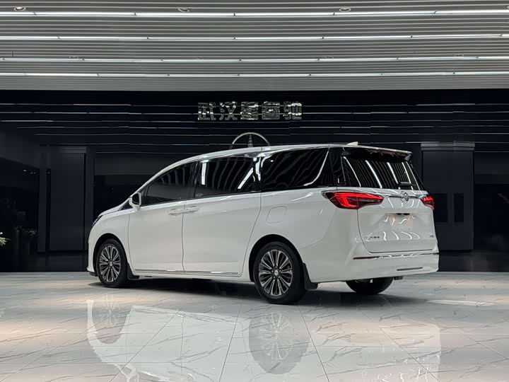 Фото 4 - Buick GL8 ES