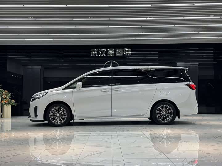 Фото 5 - Buick GL8 ES