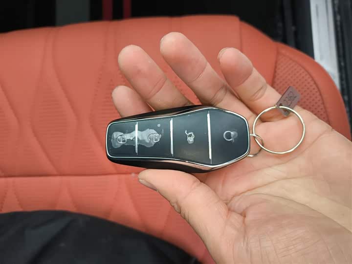 Фото 9 - BYD Tang Hybrid/EV