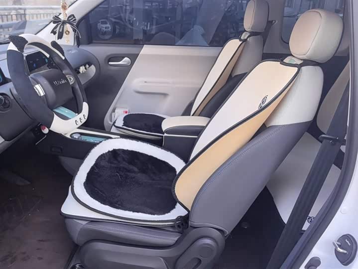 Фото 9 - Changan Qiyuan (Nevo) Lumin