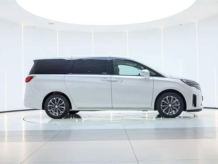 Фото 4 - Buick GL8 ES