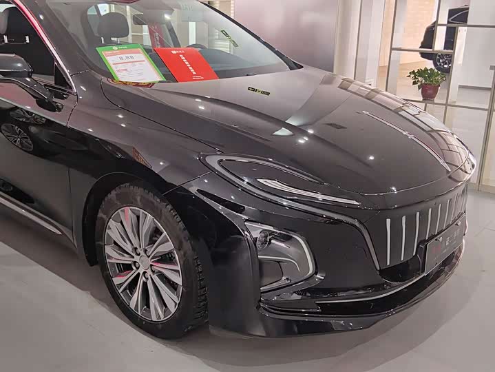 Фото 3 - Hongqi E-QM5