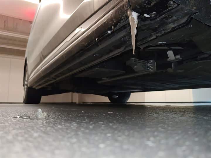 Фото 2 - Hongqi HQ9 Hybrid