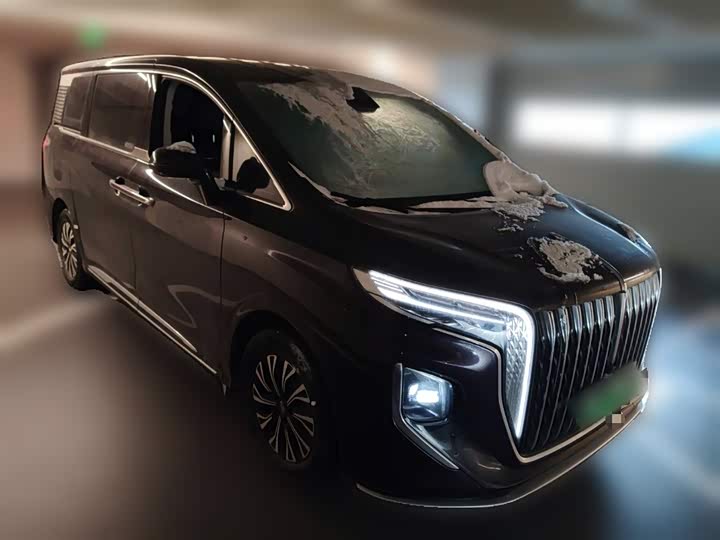 Фото 7 - Hongqi HQ9 Hybrid