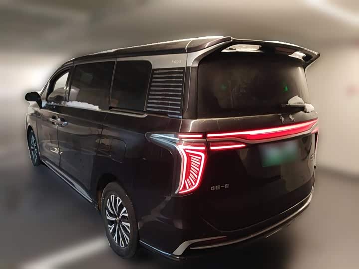 Фото 9 - Hongqi HQ9 Hybrid