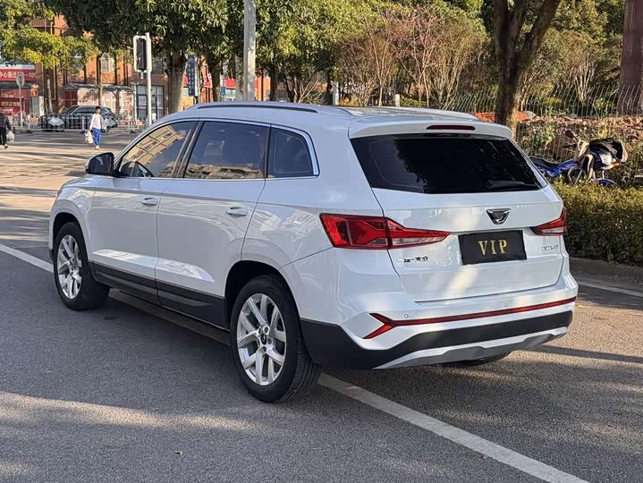 Фото 6 - Jetta VS7