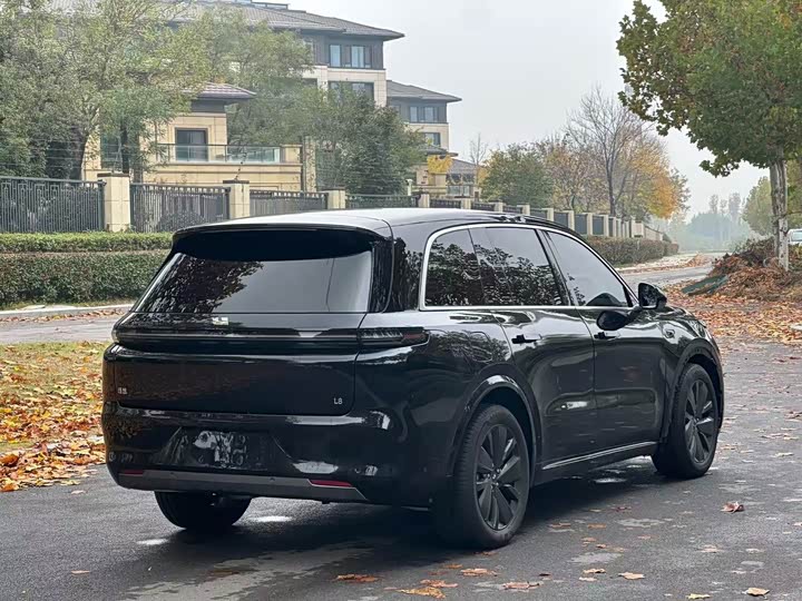 Фото 4 - LiXiang L8