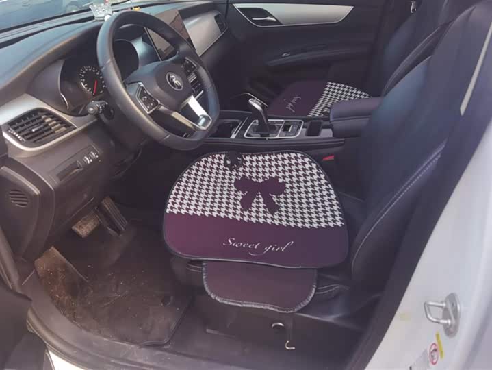 Фото 9 - BYD Song Max