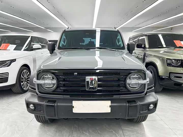 Фото 2 - Tank 300