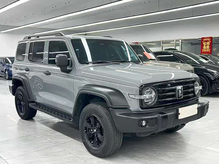 Фото 3 - Tank 300