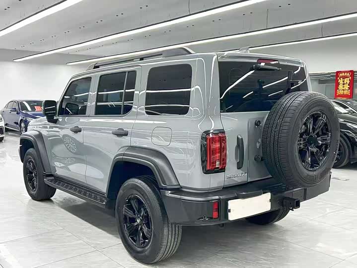 Фото 4 - Tank 300