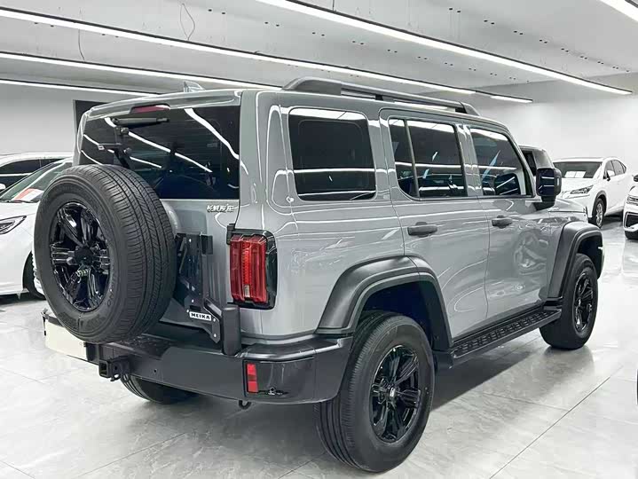 Фото 6 - Tank 300