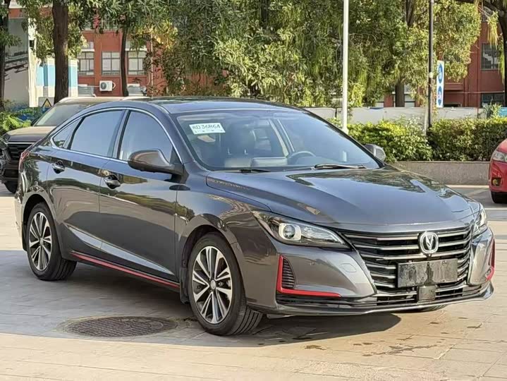 Фото 3 - Changan Raeton CC