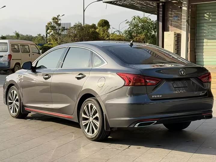 Фото 8 - Changan Raeton CC