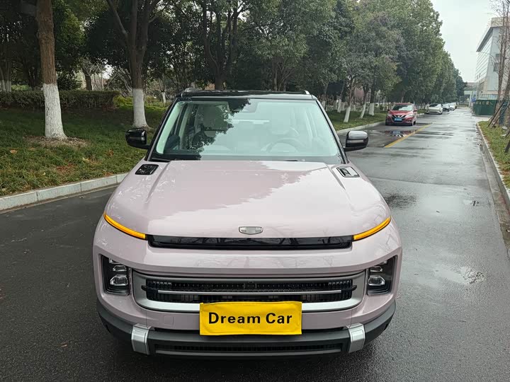 Фото 2 - Geely Icon