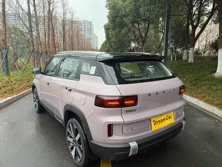 Фото 6 - Geely Icon