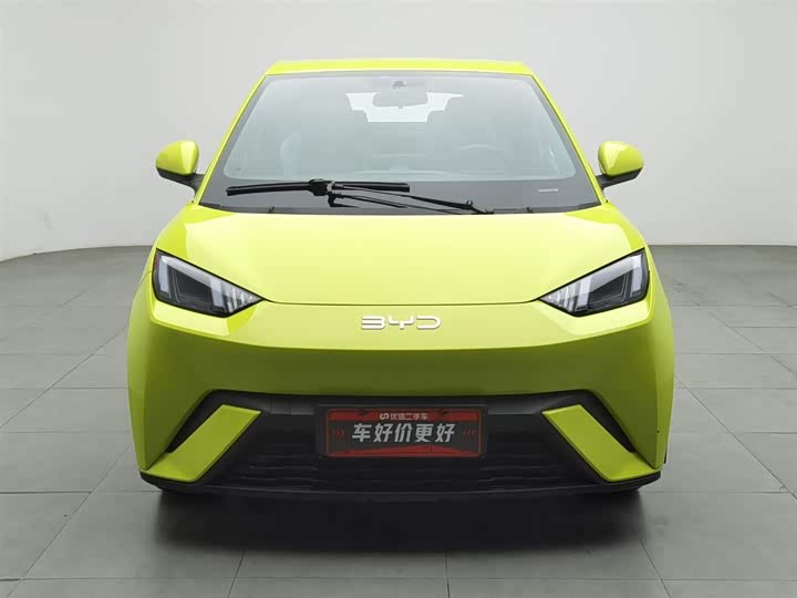 Фото 3 - BYD Seagull