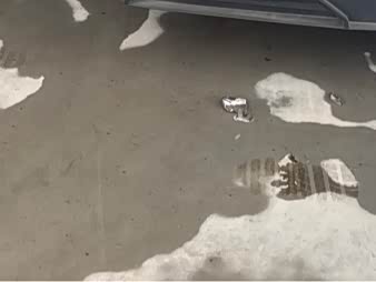 Фото 4 - XPeng F57