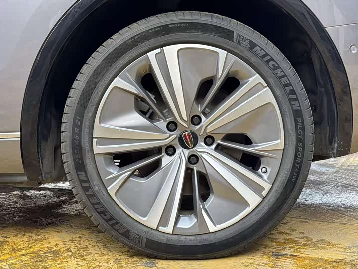 Фото 6 - Hongqi E-HS9