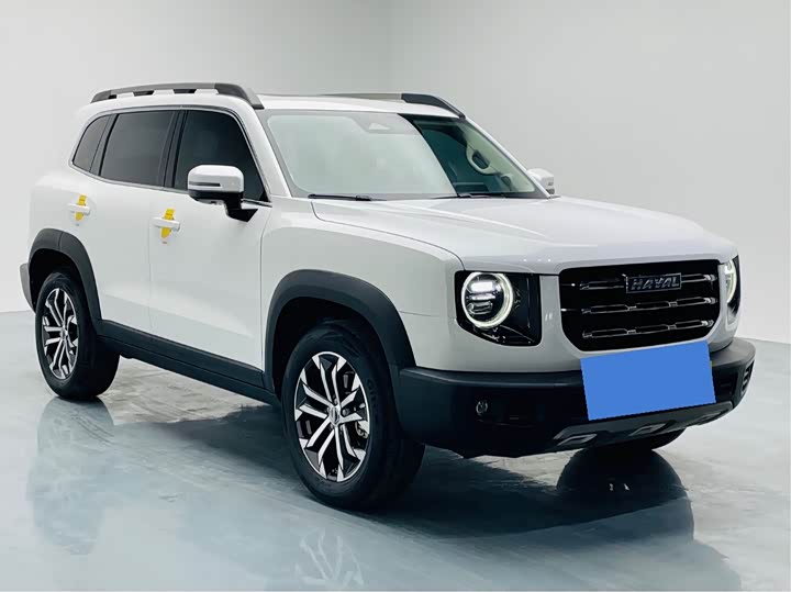 Фото 3 - Haval Dargo