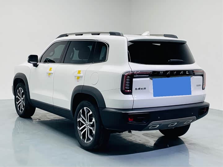 Фото 4 - Haval Dargo