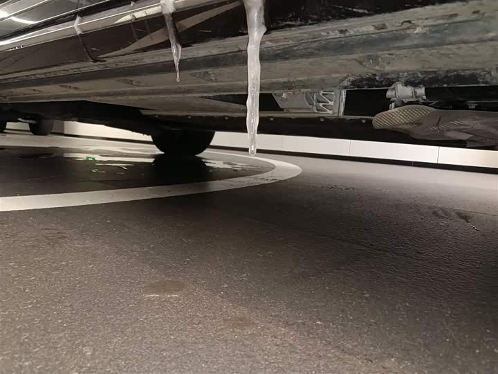 Фото 2 - Hongqi HQ9 Hybrid