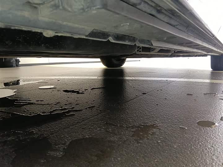 Фото 4 - Hongqi HQ9 Hybrid