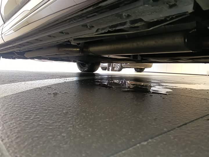 Фото 6 - Hongqi HQ9 Hybrid