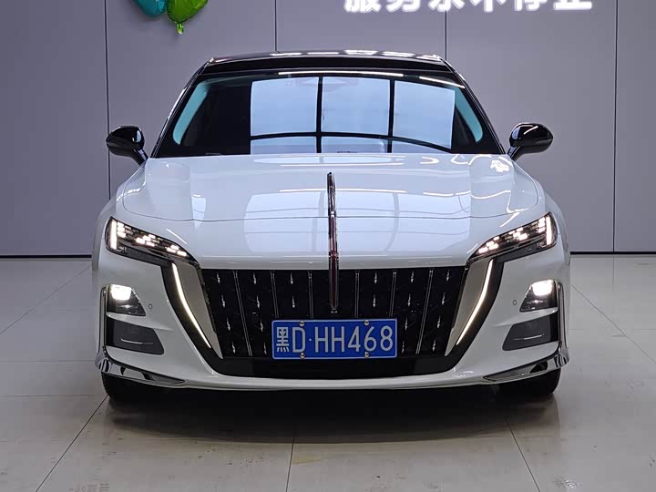 Фото 1 - Hongqi H6