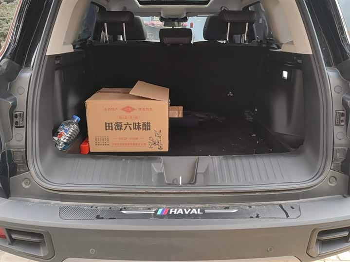 Фото 4 - Haval Dargo