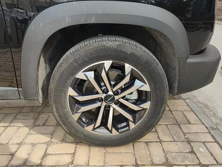 Фото 6 - Haval Dargo