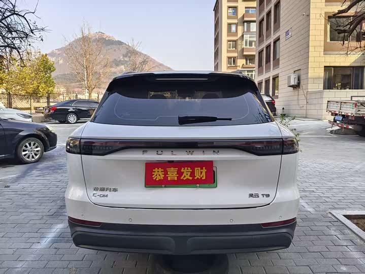 Фото 3 - Chery Fulwin T9