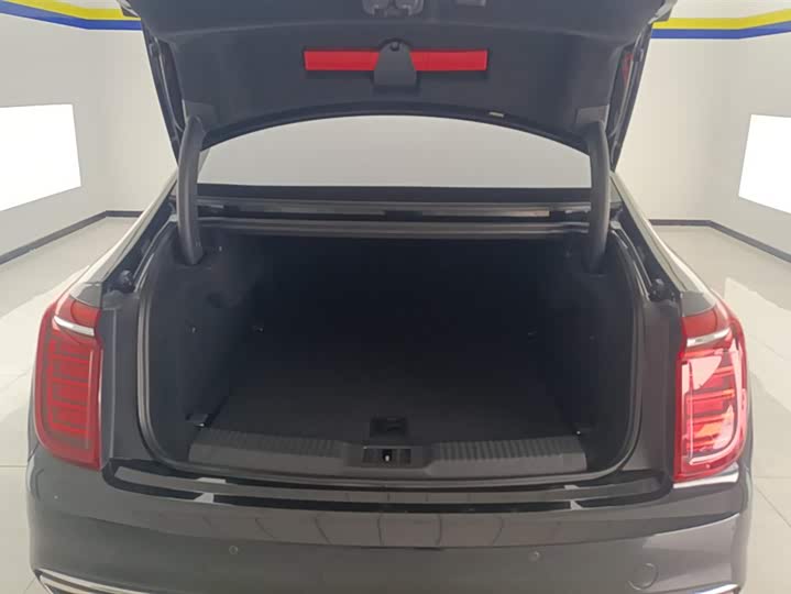 Фото 4 - Hongqi H9