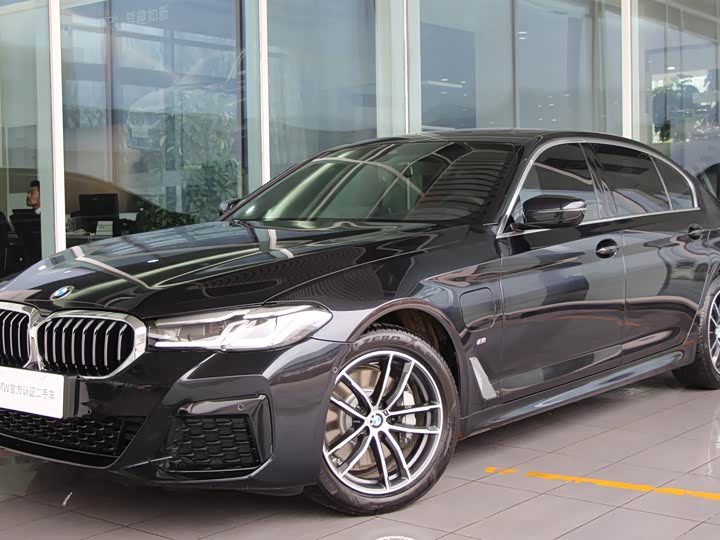 Фото 1 - BMW 5 Series Hybrid