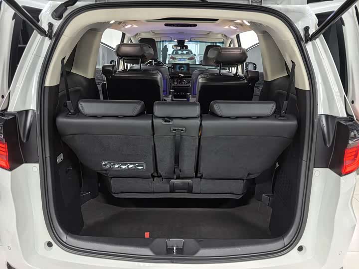 Фото 8 - Honda Elysion