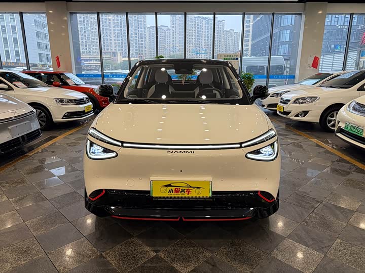 Фото 2 - Dongfeng Nammi 01