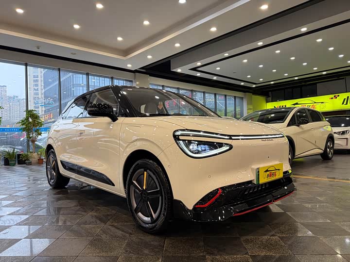 Фото 3 - Dongfeng Nammi 01