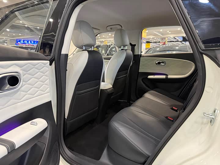 Фото 5 - Dongfeng Nammi 01