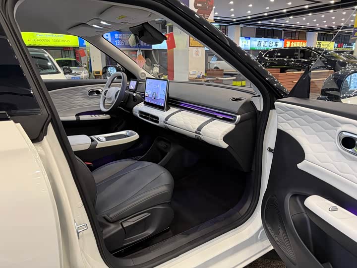 Фото 6 - Dongfeng Nammi 01