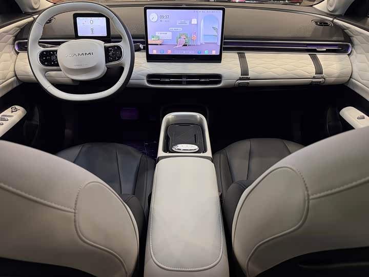 Фото 8 - Dongfeng Nammi 01