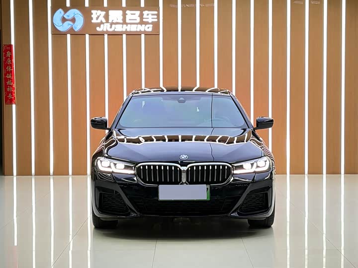 Фото 2 - BMW 5 Series Hybrid