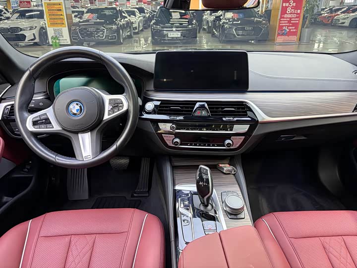 Фото 5 - BMW 5 Series Hybrid