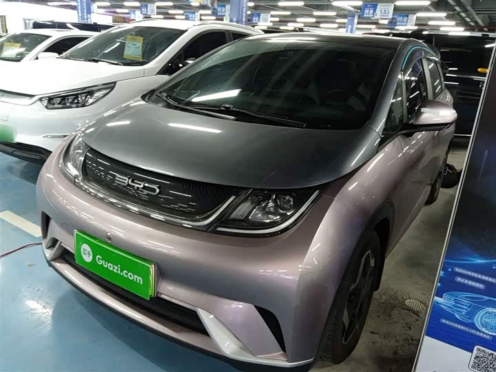 Фото 1 - BYD Dolphin