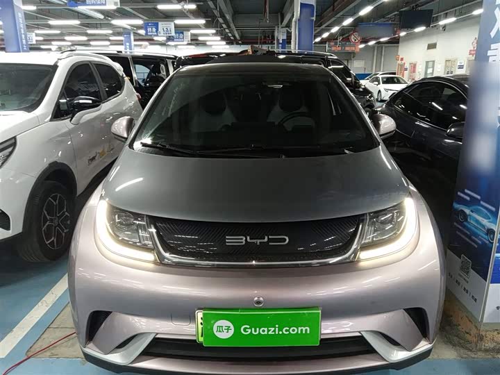 Фото 3 - BYD Dolphin