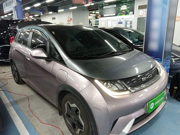 Фото 4 - BYD Dolphin