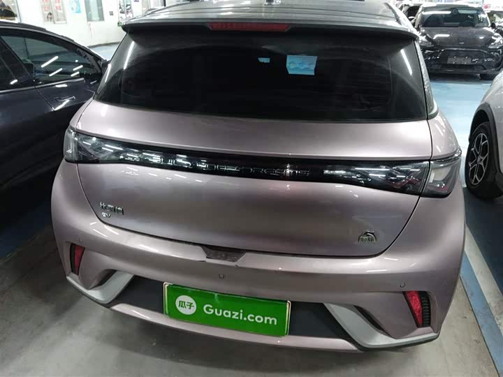 Фото 6 - BYD Dolphin