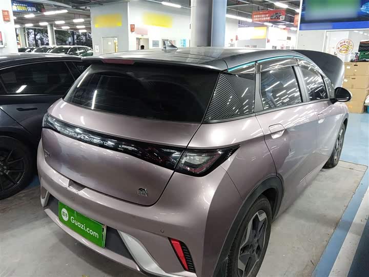 Фото 7 - BYD Dolphin