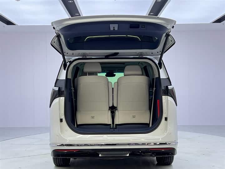 Фото 7 - Buick GL8 Hybrid