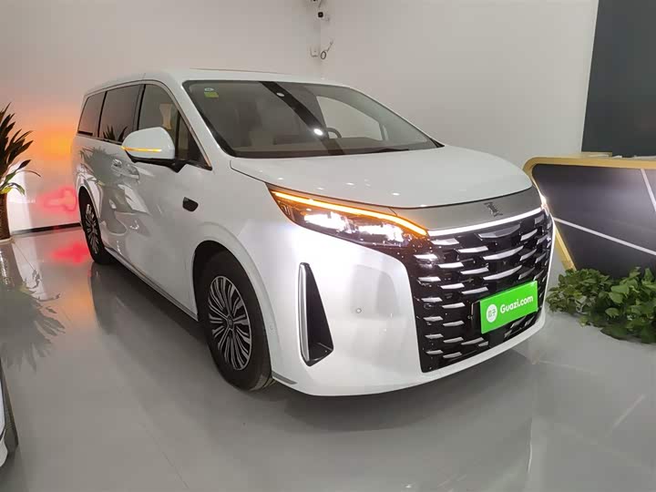 Фото 4 - BYD Xia