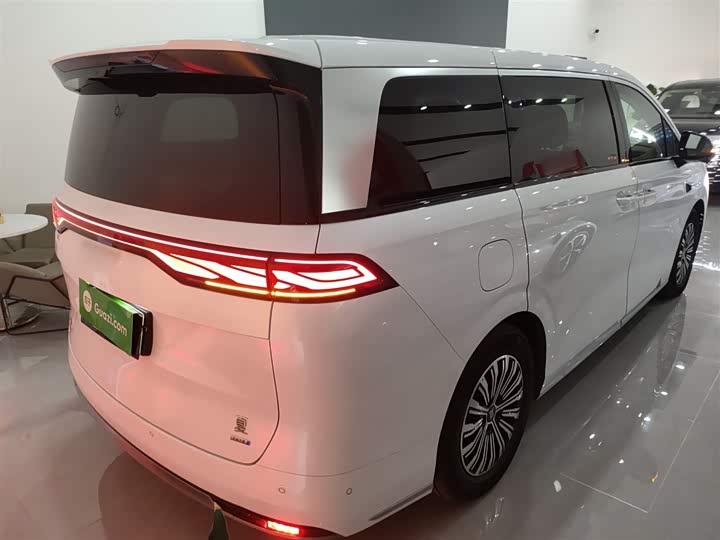 Фото 7 - BYD Xia